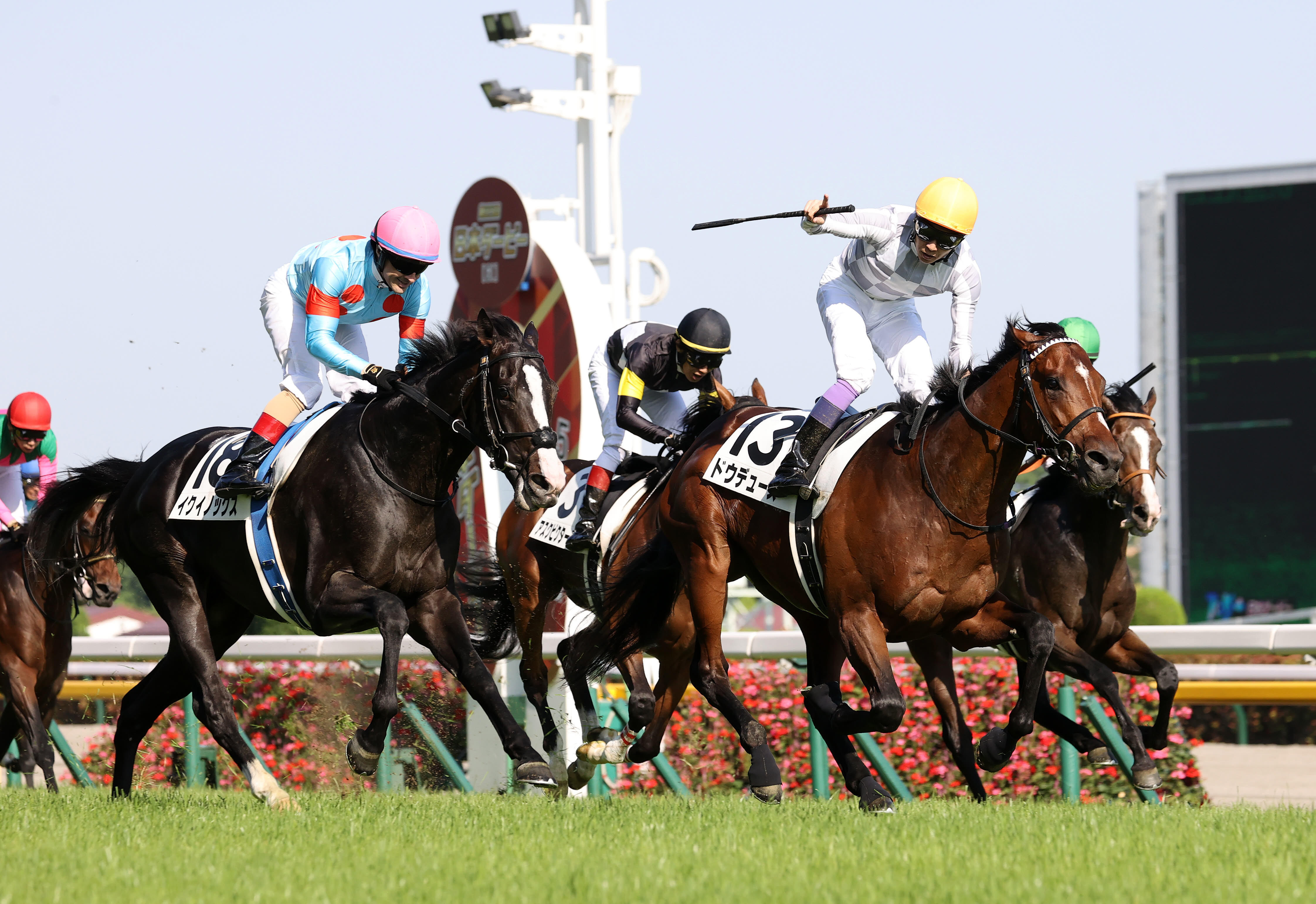 ジャパンC みどころ】「本当の1番を決めよう」世界最強馬イク
